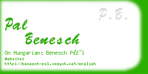 pal benesch business card